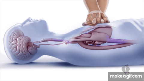 SOPORTE VITAL BÁSICO BLS - 5076 PARA TENS Y AUXILIARES 